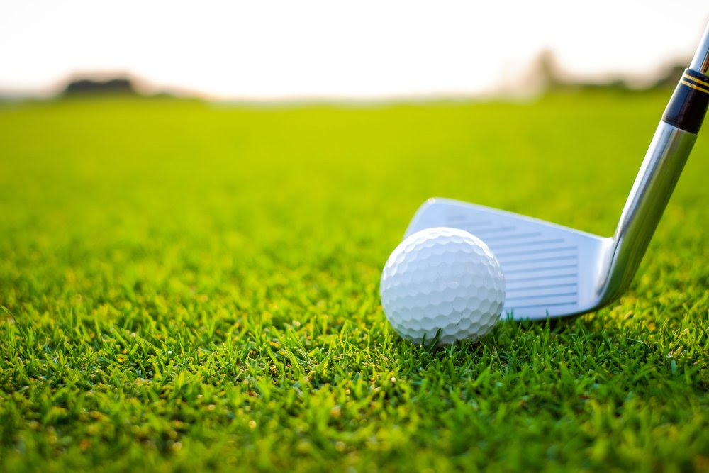 EFIA Aims for Hole-in-One with Annual Golf Day