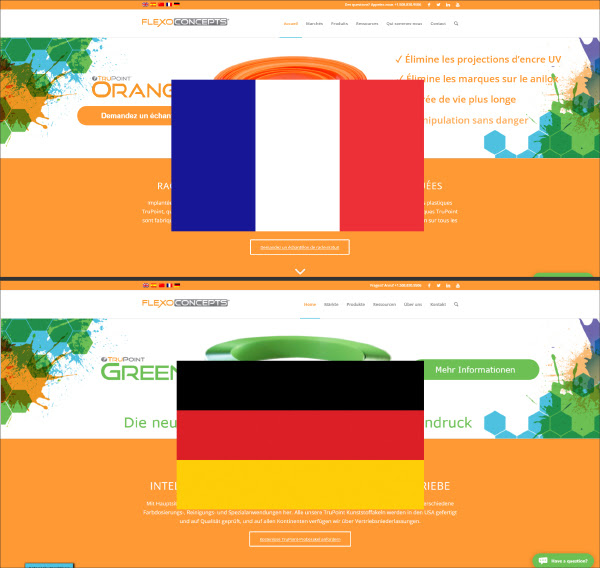 Flexo Concepts® Expands Website Languages to Include French and German